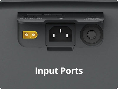 input port
